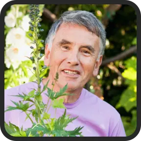 Curalin customer Reviews